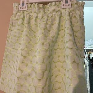 J. Crew Skirt